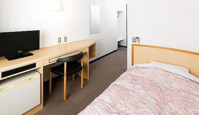 德島陽光飯店｜德島站徒步10分/德島城跡徒步18分/免費德島站接送服務-本館｜單人房【不挑房】-2