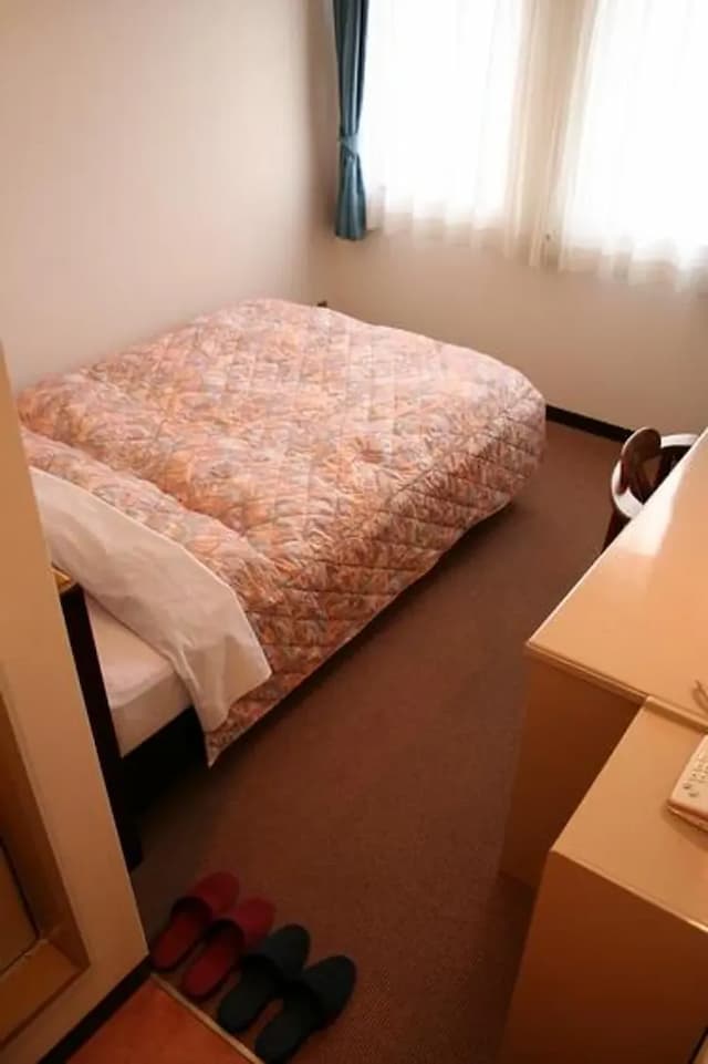 德島陽光飯店｜德島站徒步10分/德島城跡徒步18分/免費德島站接送服務-本館｜雙人房【不挑房】-1