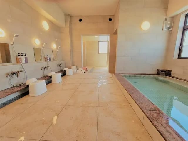 德島陽光飯店｜德島站徒步10分/德島城跡徒步18分/免費德島站接送服務-本館｜雙人房【不挑房】-6