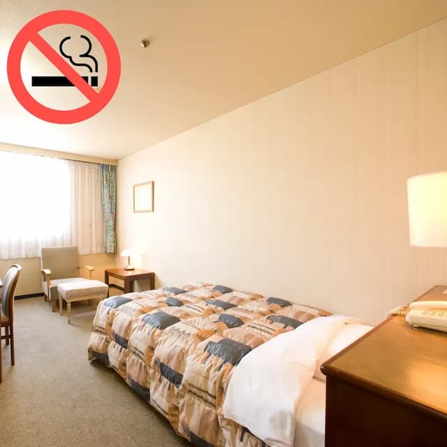 Single room (non-smoking)