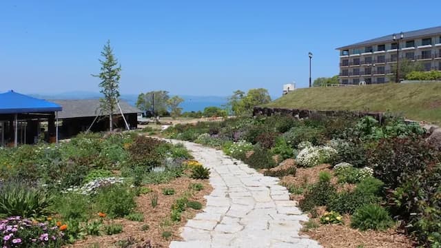 Olivean小豆島 夕陽之丘飯店 | 方便至妖怪美術館1號館-【行政樓層】露台套房 附景觀浴室【不挑房】-3