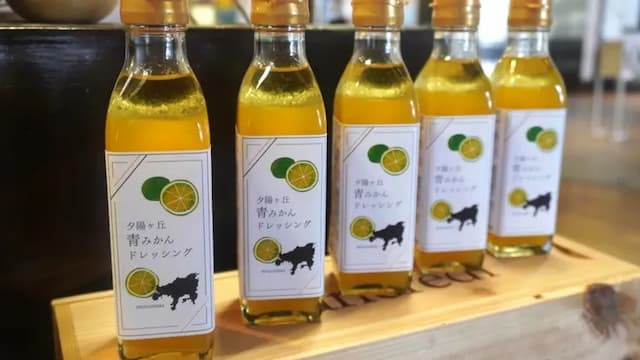 Olivean小豆島 夕陽之丘飯店 | 方便至妖怪美術館1號館-【行政樓層】露台套房 附景觀浴室【不挑房】-4