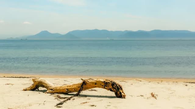直島故鄉海之家 杜鵑莊（直島）| 宮浦港開車10分鐘-日式小屋【不挑房】-2
