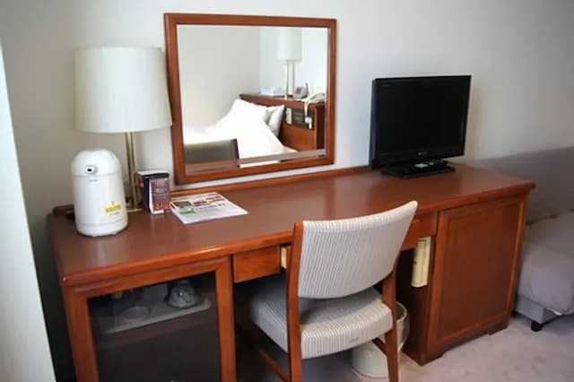 珍珠花園酒店 | JR高松站乘計程車約 8 分鐘-本館 單人房【不挑房】-4