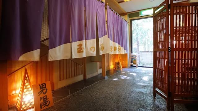 小野川溫泉 名湯旅館 吾妻莊｜大浴場/上杉神社開車13分/近米澤車站-本館：和室｜10張榻榻米、最多入住3人【不挑房】-3