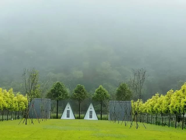 阮兜小丘-懶人露營小木屋A-2