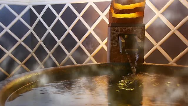 土佐御苑飯店｜高知站徒步5分/高知城開車5分-本館 和室【不挑房】-6