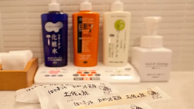 土佐御苑飯店｜高知站徒步5分/高知城開車5分-小雙床房【不挑房】-2