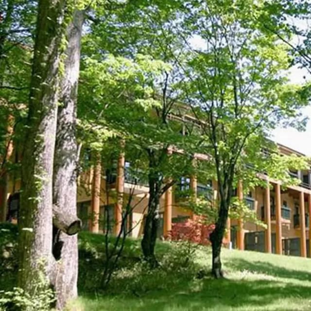 中禪寺溫泉 中禪寺金谷飯店｜日光山中禪寺開車9分/中禪寺湖景-湖景標準雙床房【不挑房】-5