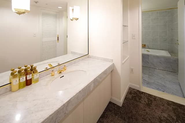 新近江飯店｜JR近江八幡車站徒步２分／日牟礼八幡宮搭車20分/水郷遊船開車15分-行政套房【不挑房】-3