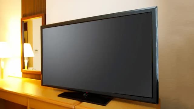 [When using 2 people] Single type with sofa (13㎡)