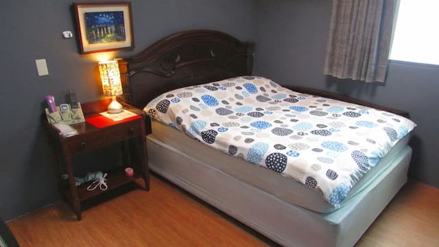 三隻老虎青年旅店-標準雙人房-1