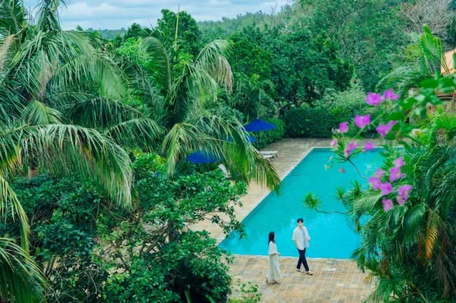 【星野集團】西表島飯店｜上原港口免費接駁車搭乘10分-海景高級雙床房【不挑房】-6