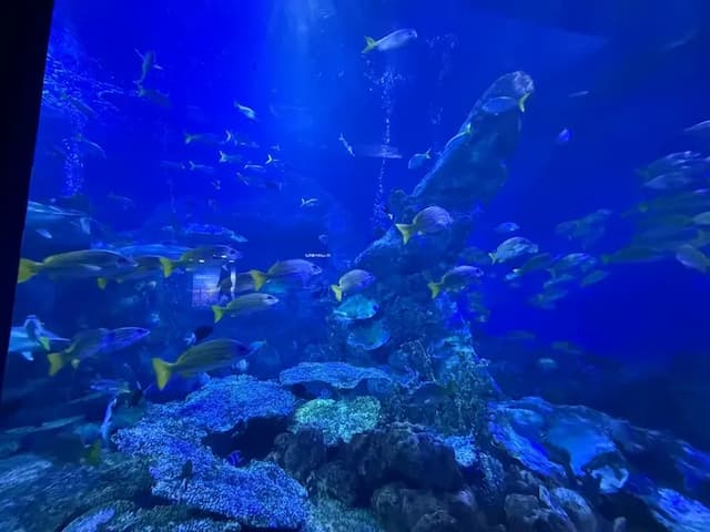 鳥羽水族館徒歩数分です