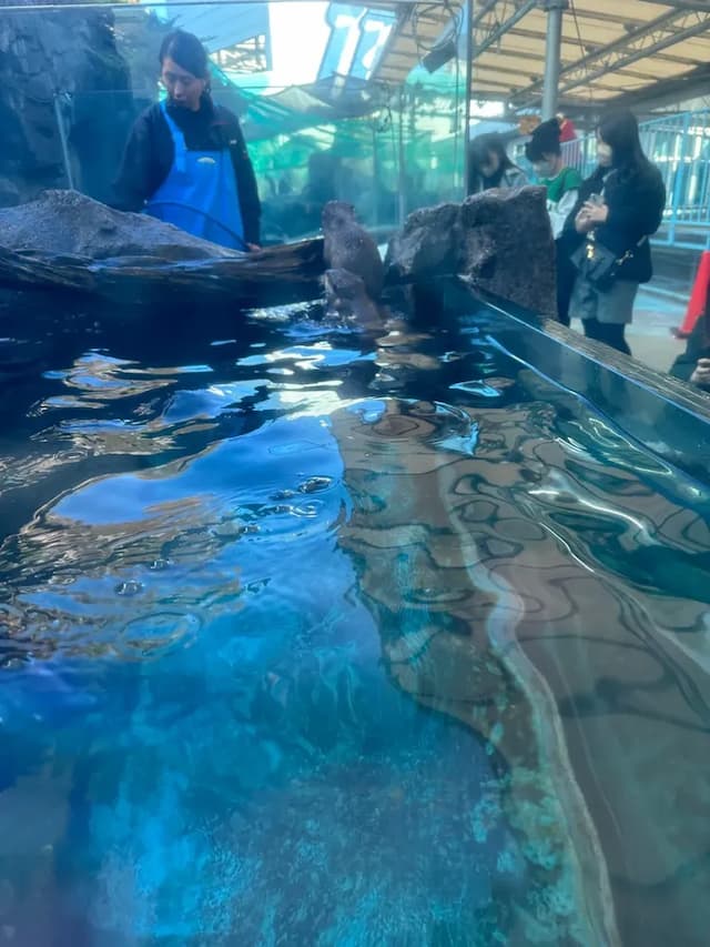 鳥羽水族館徒歩数分です