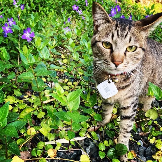 科斯莫-1-201房-6