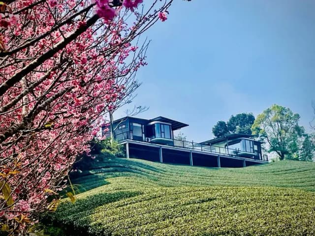 深山林內生態農場｜全新太空艙、狩獵帳、星空玻璃屋-太空艙-8