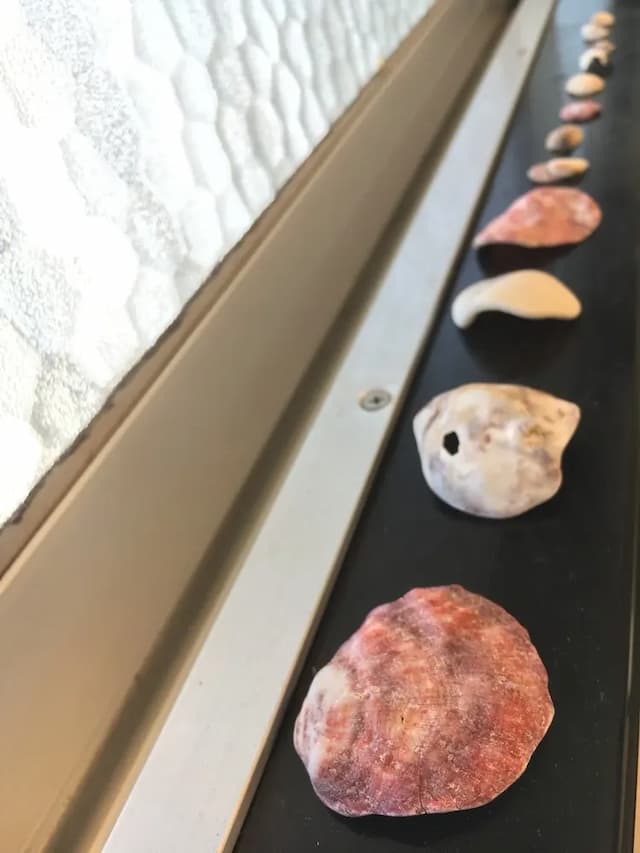 Fole Cosmo-2-Aquarium / Mikimoto a few minutes on foot / Ise shrine access good / private for up to 3 people 203-8