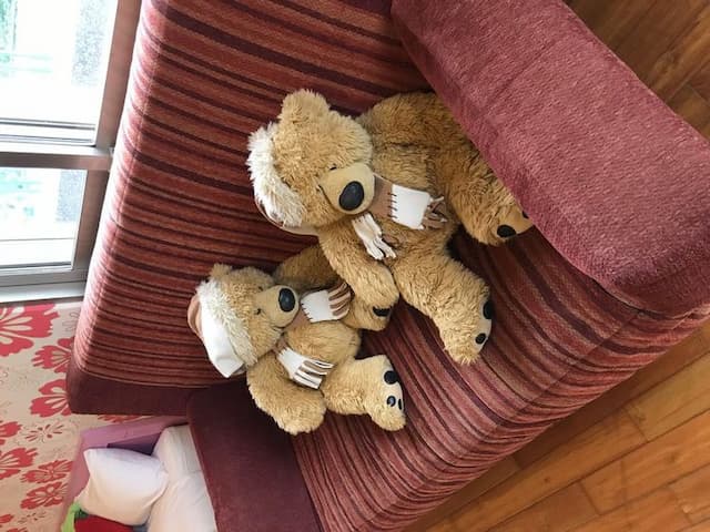 衿日林民宿丨可12-38人包棟丨烤肉、歡唱、戲水池-溫馨親子四人套房-6