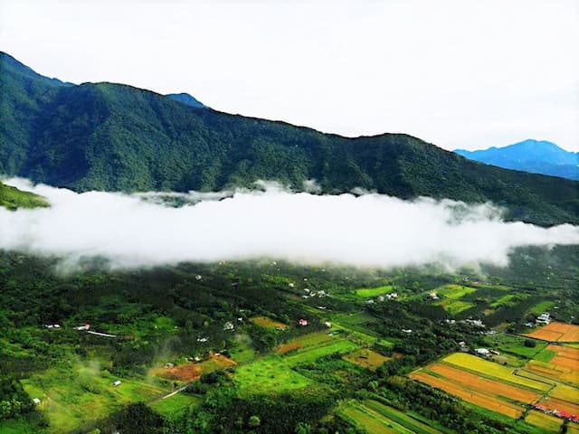 晨曦森林-四人房-3