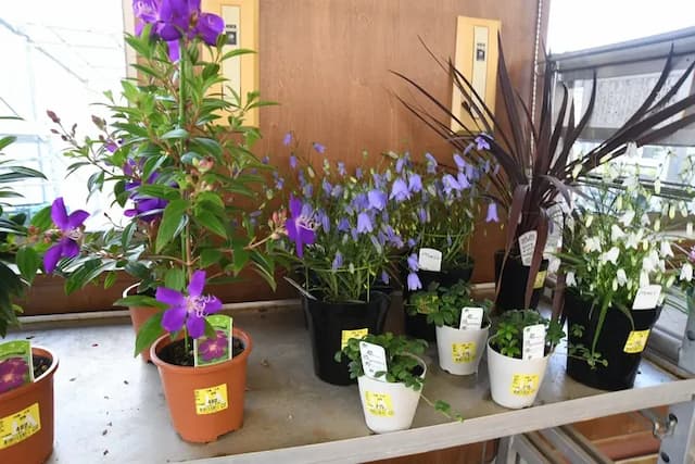 優客允居-1-1-2人房，最多可2人入住-13