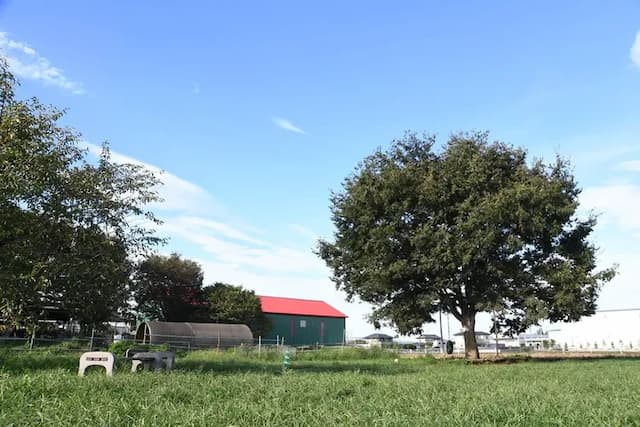 近くの牧場。のんびり出来ます。