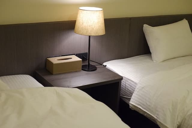 Loosha Hostel-Standard twin room-3