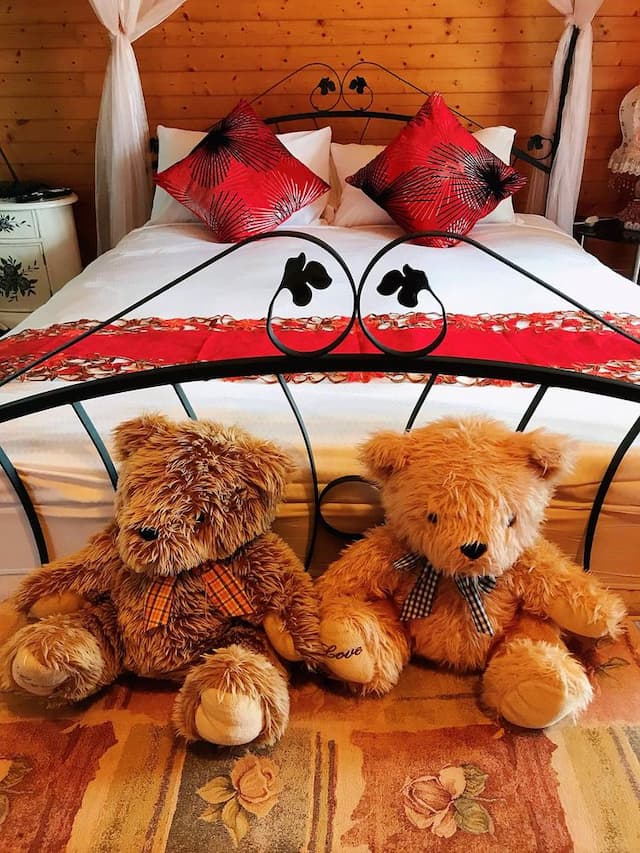 衿日林民宿丨可12-38人包棟丨烤肉、歡唱、戲水池-渡假蜜月雙人套房-3