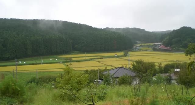 田園風景