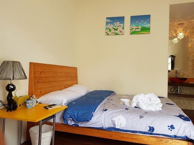 貓兒散散步 l 寵物友善-二人套房-2