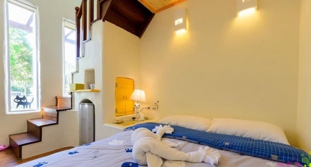 貓兒散散步 l 寵物友善-四人套房-4