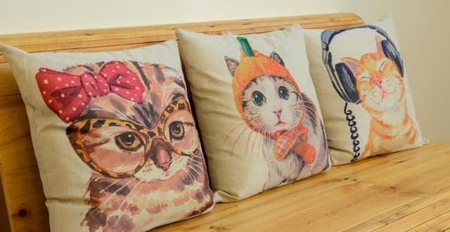 貓兒散散步 l 寵物友善-六人套房-4