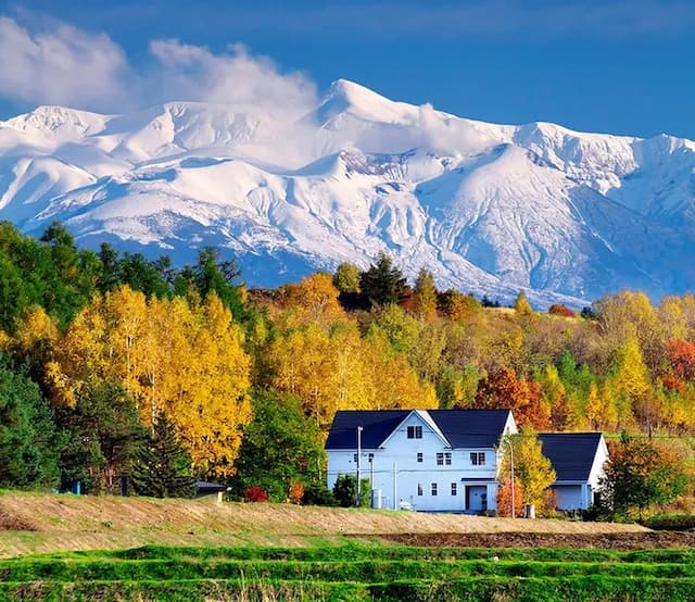 Guest House Itoh-Comfortable peaceful and quiet special suite rooms-1