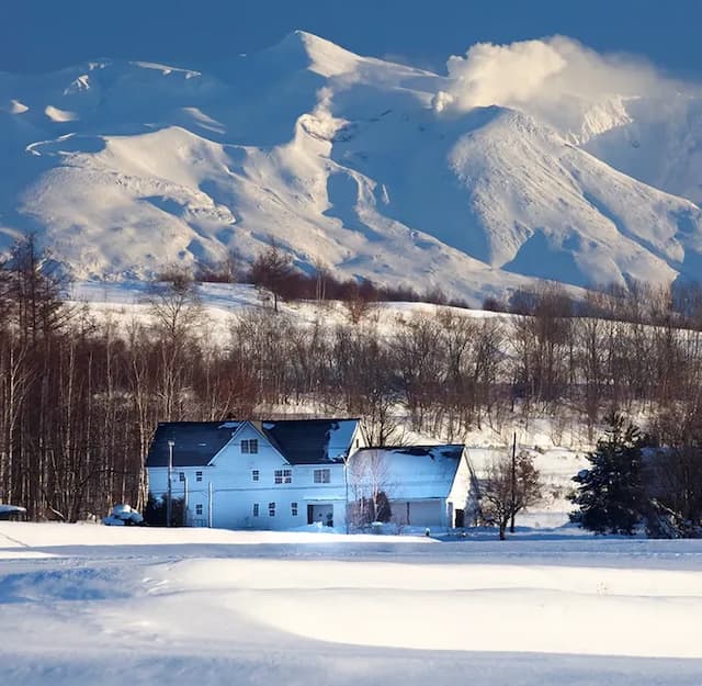 Guest House Itoh-Comfortable peaceful and quiet special suite rooms-3