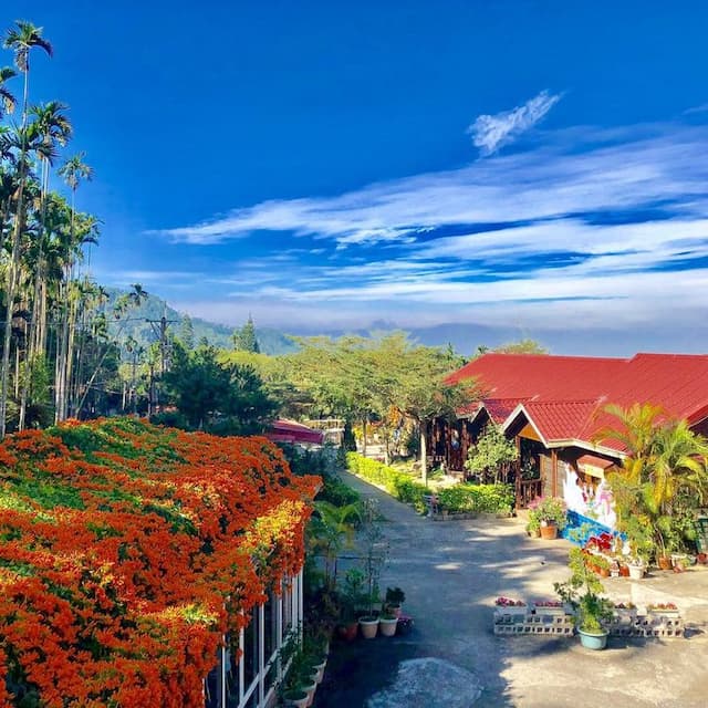 天秀山莊餐廳民宿～空拍照