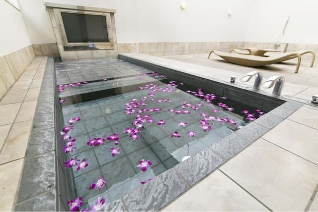 ホテルロータス豊中-プレジデント/ロイヤルルーム-9