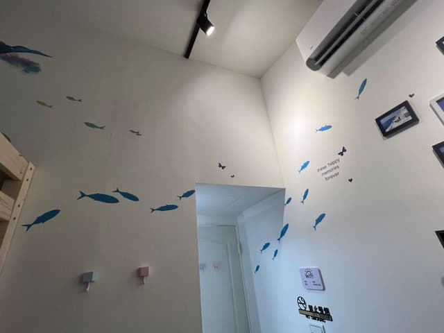 black kitten BNB-Mediterranean Wind Double Suite-2