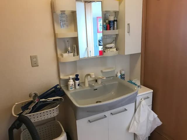 少し広めの洗面