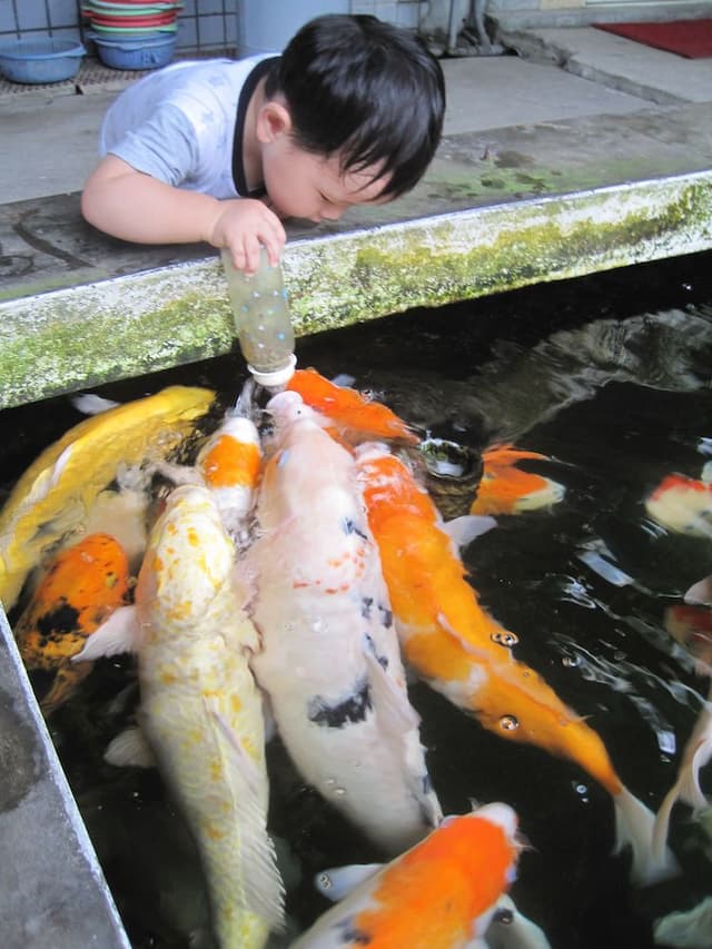 宜蘭童話村民宿 l可6~20人包棟 l田中央獨棟獨院  l獨立陽台 l泡湯池l電動麻將 l 烤肉 l 戲水 l 餵魚喝奶奶-宜126童話村有機農場民宿4人小包棟l庭院花園 l獨立進出口 l獨立陽台可烤肉 l麻將 l餵魚喝奶奶-13