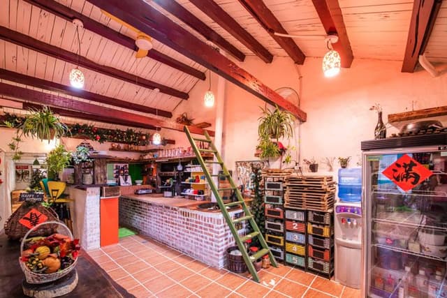 Rabbit House-貓天空6人包棟-6