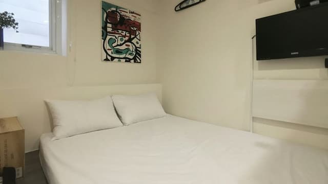 Leo 111/Arena Ruifeng-Aniu mini  one or two  room-2