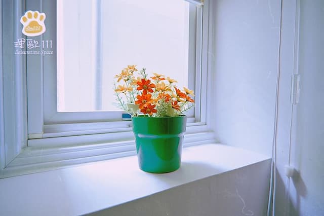 Leo 111/Arena Ruifeng-Aniu mini  one or two  room-7