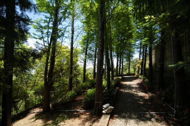 Qing Jing Fengye Homestay-Jindian Building Middle Floor Quadruple Room-7