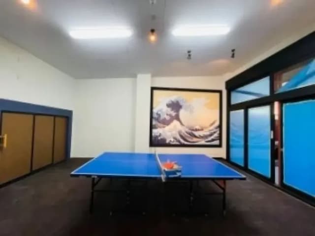 Table Tennis Area