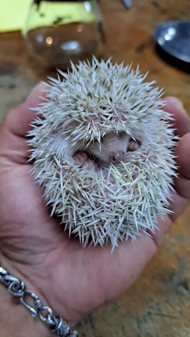 A Dream in Sun Moon Lake-Private room for 30 people | Extra bed for 35 people-3