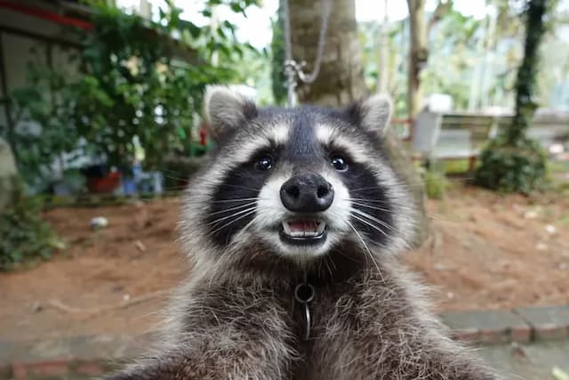 A Dream in Sun Moon Lake-Private room for 30 people | Extra bed for 35 people-1