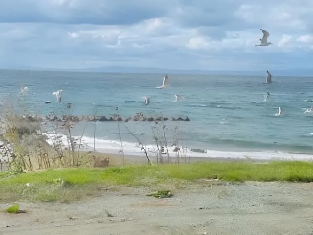 HOTEL COCOA RESORT-Deluxe Villa-2