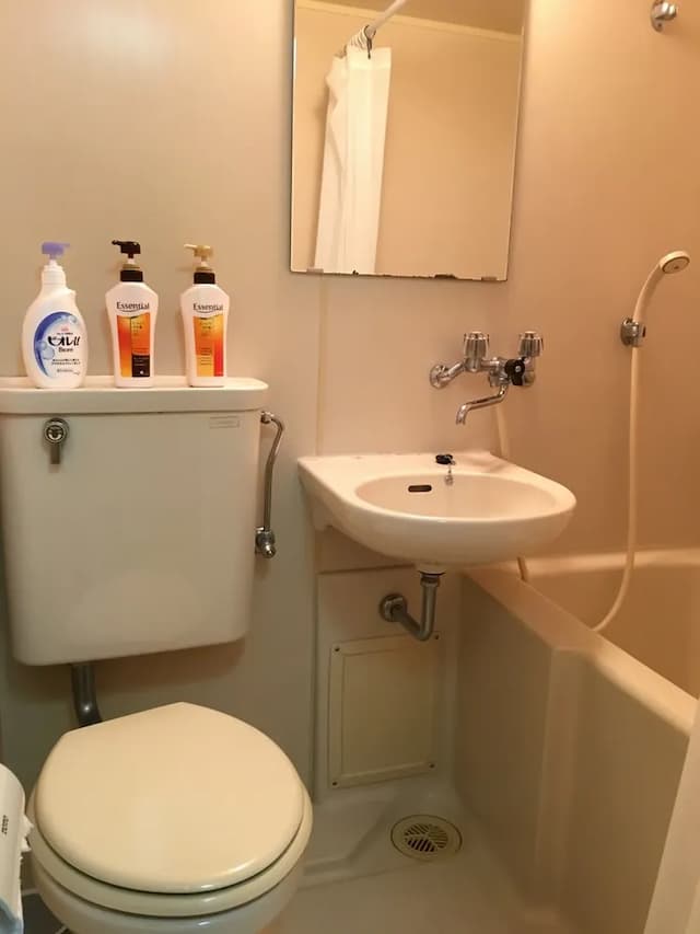 American Palace -仲良し夫婦がお出迎え--American Palace -ワンルーム貸切--11