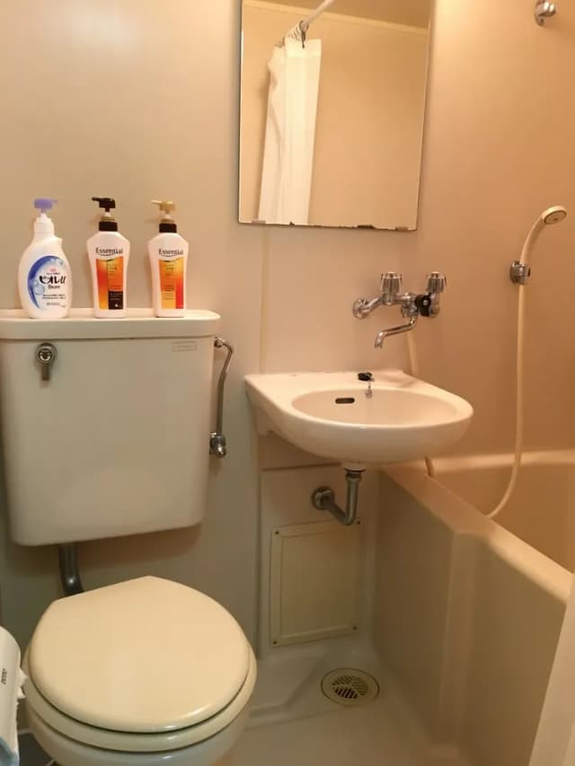 美國宮殿-202房-11