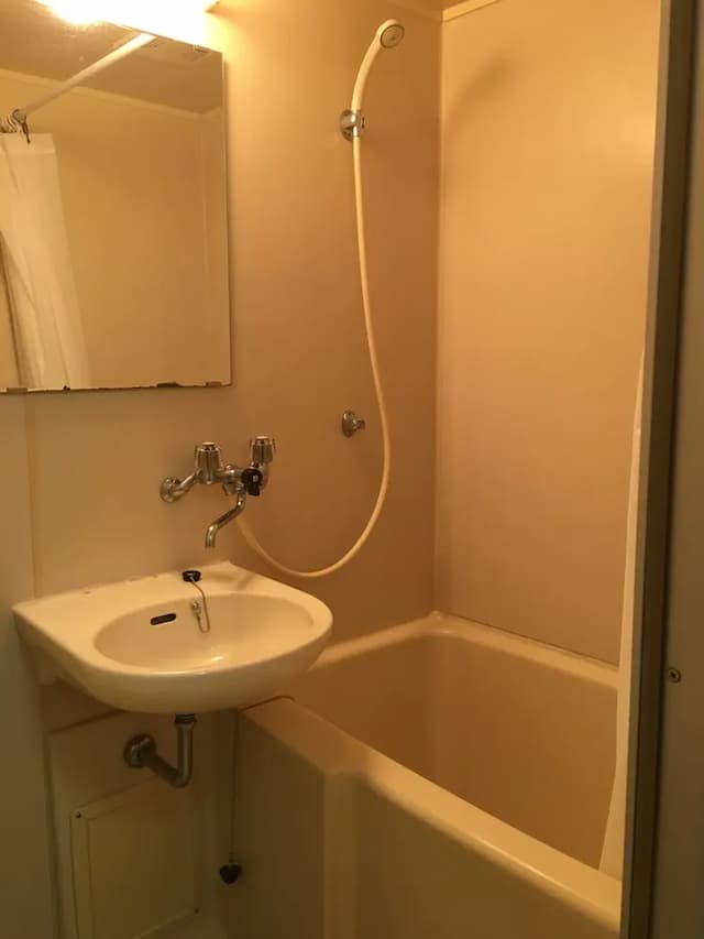 American Palace -仲良し夫婦がお出迎え--American Palace -ワンルーム貸切--13